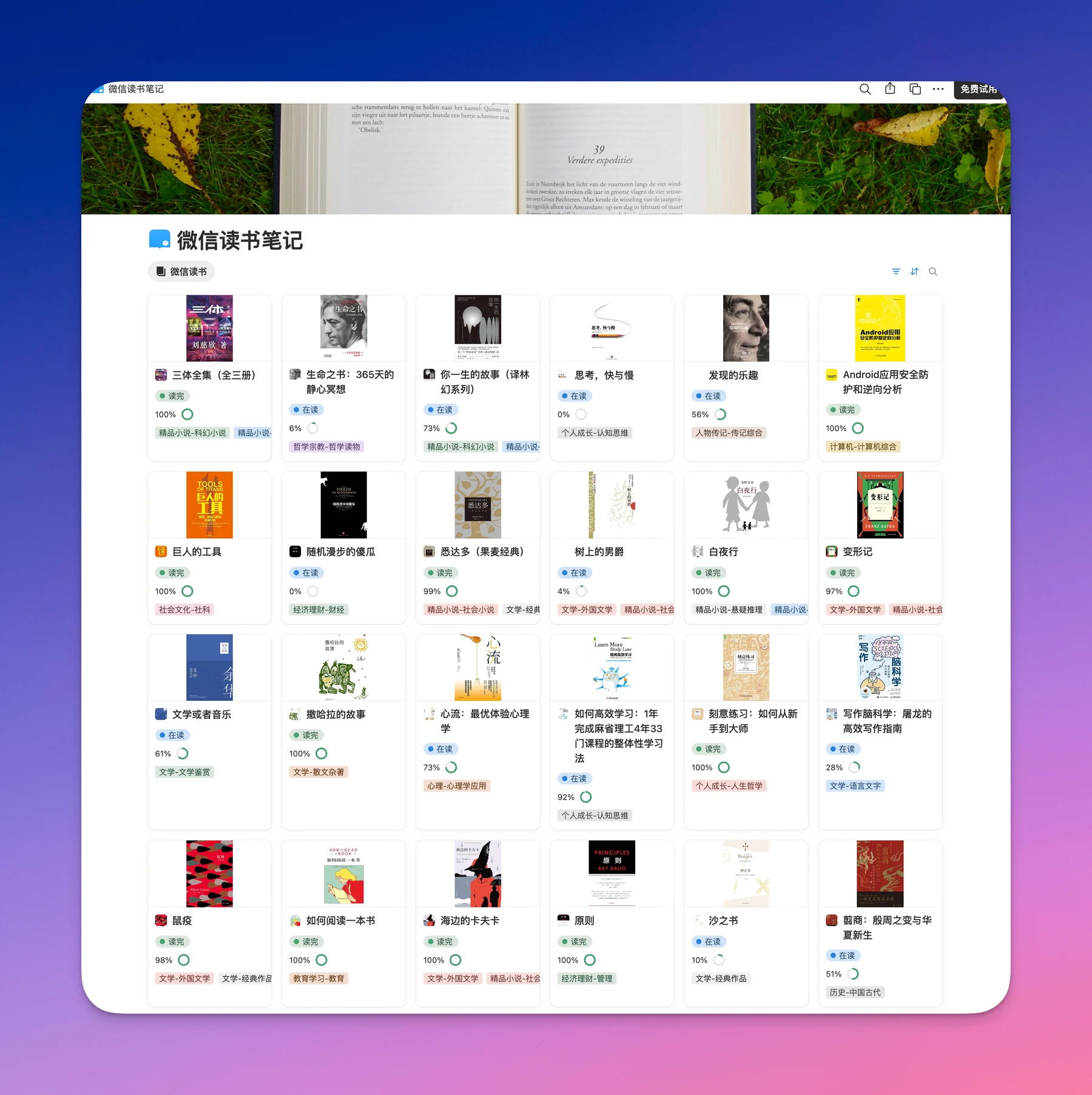 WeRead2Notion 预览效果